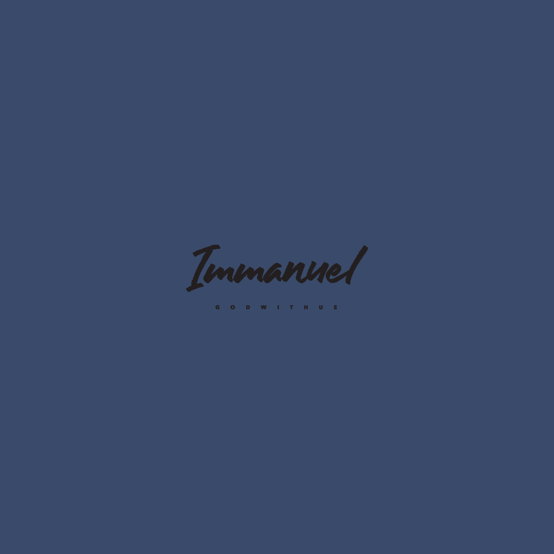 Immanuel Hoodie Navy