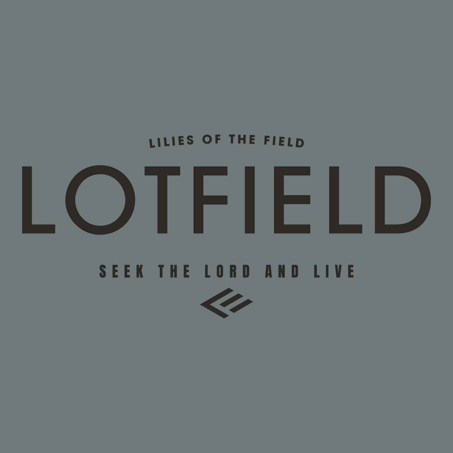 LOTFIELD Men's Cotton T-shirt